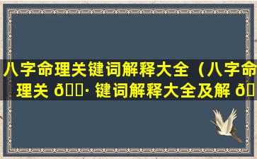 八字命理关键词解释大全（八字命理关 🌷 键词解释大全及解 🐺 释）